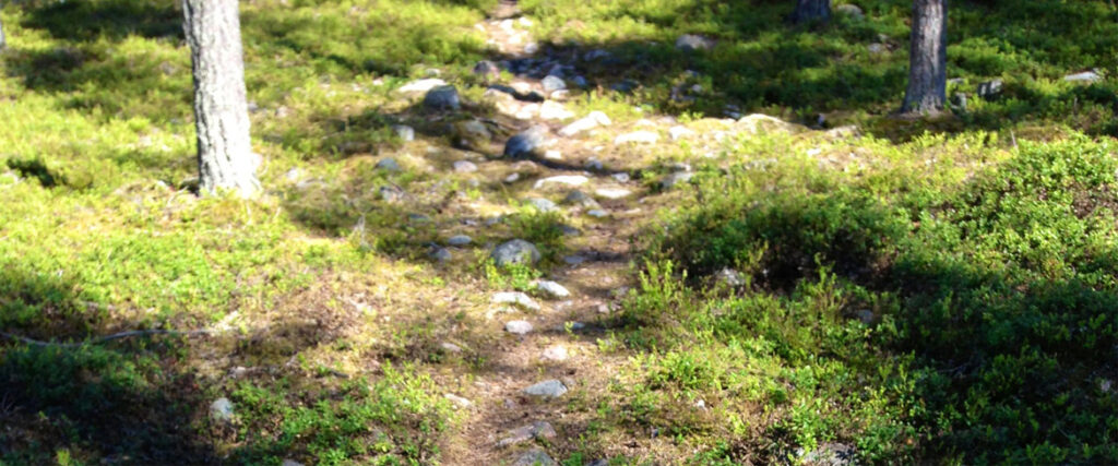 Stig i skogen