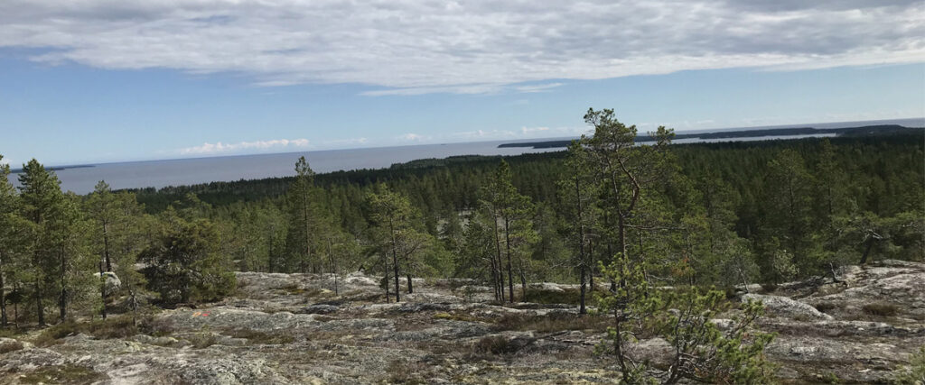 Vy mot havet