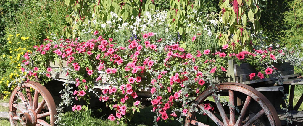 Blomvagn