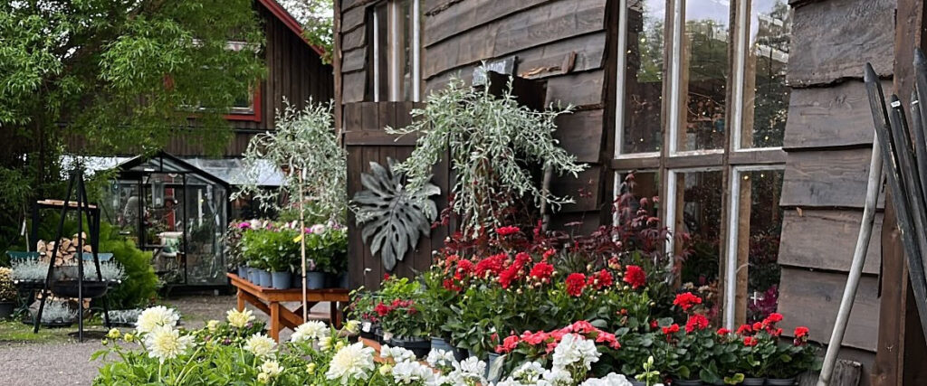 Byggnader och blommor