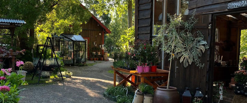 Byggnader, stig, blommor