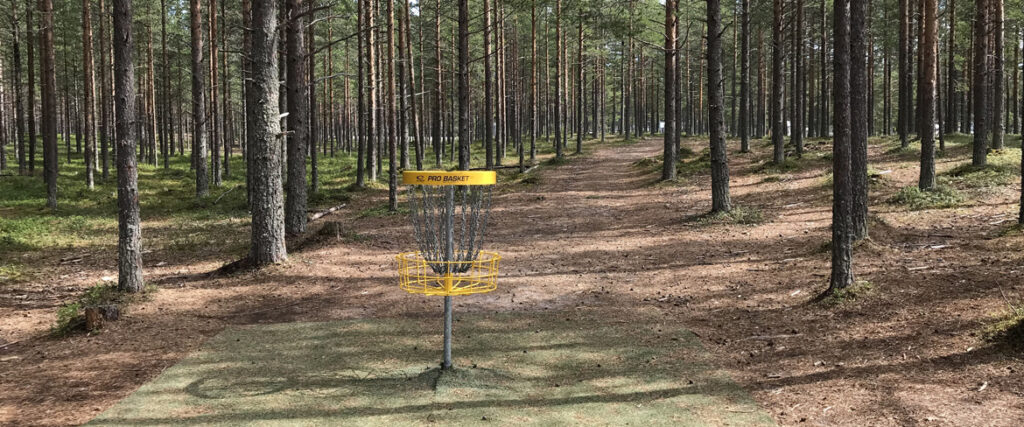 Discgolf korg