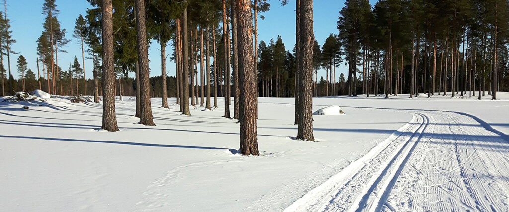 Skidspår