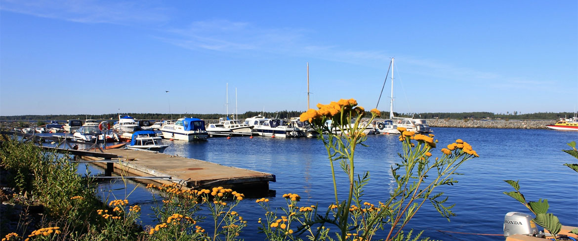 Renöhamn
