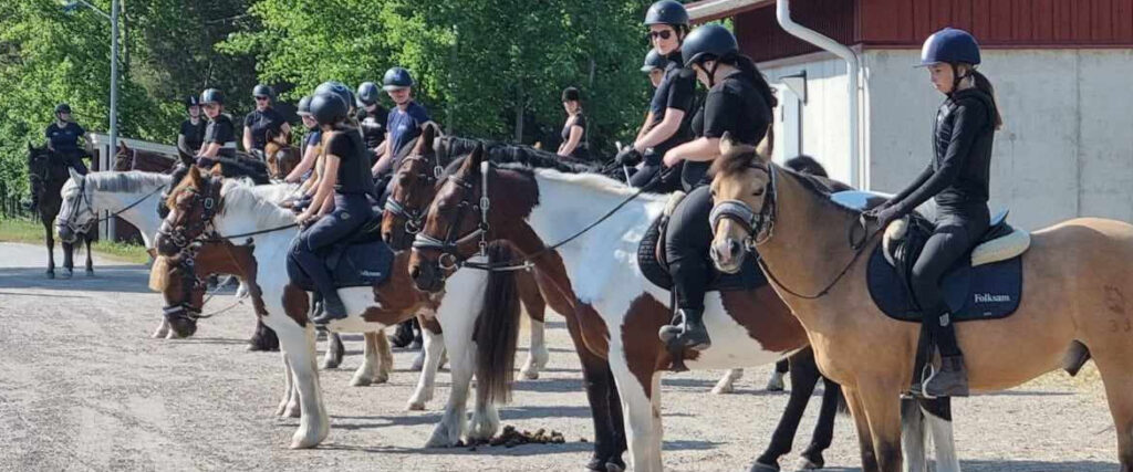 Hästar och ryttare på rad