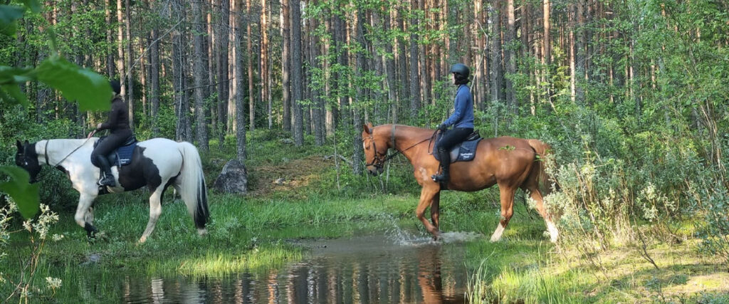 Ridning i skog