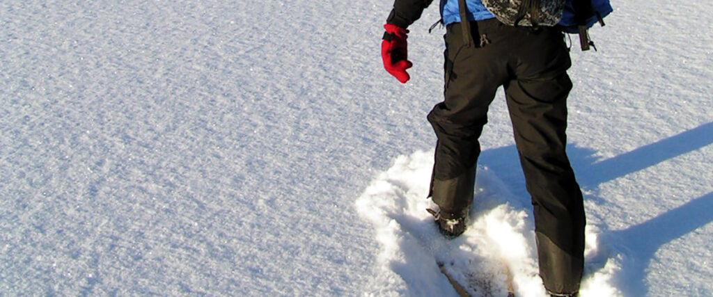 Snöskovandring