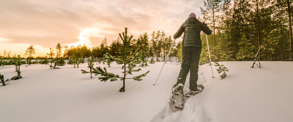 Snösko tur