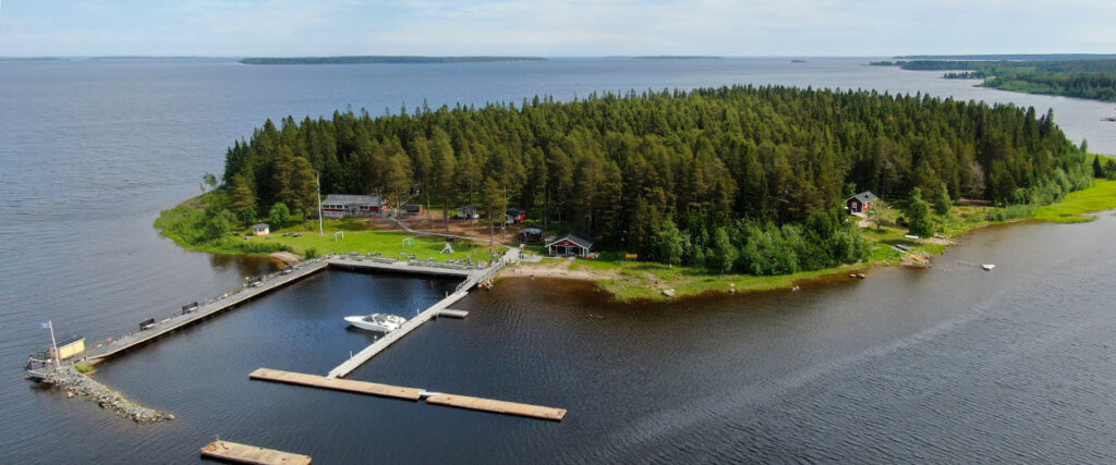 Svinöra