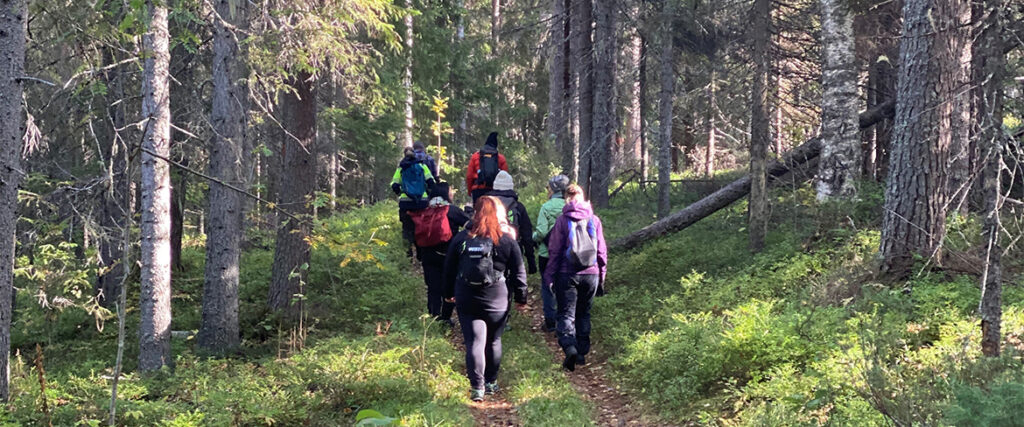 Grupp av vandrare längs leden