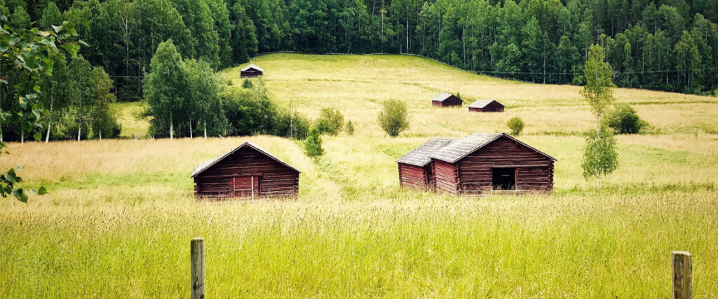 Rosfors äng med lador