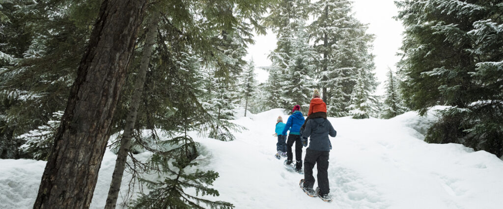 Snösko hike