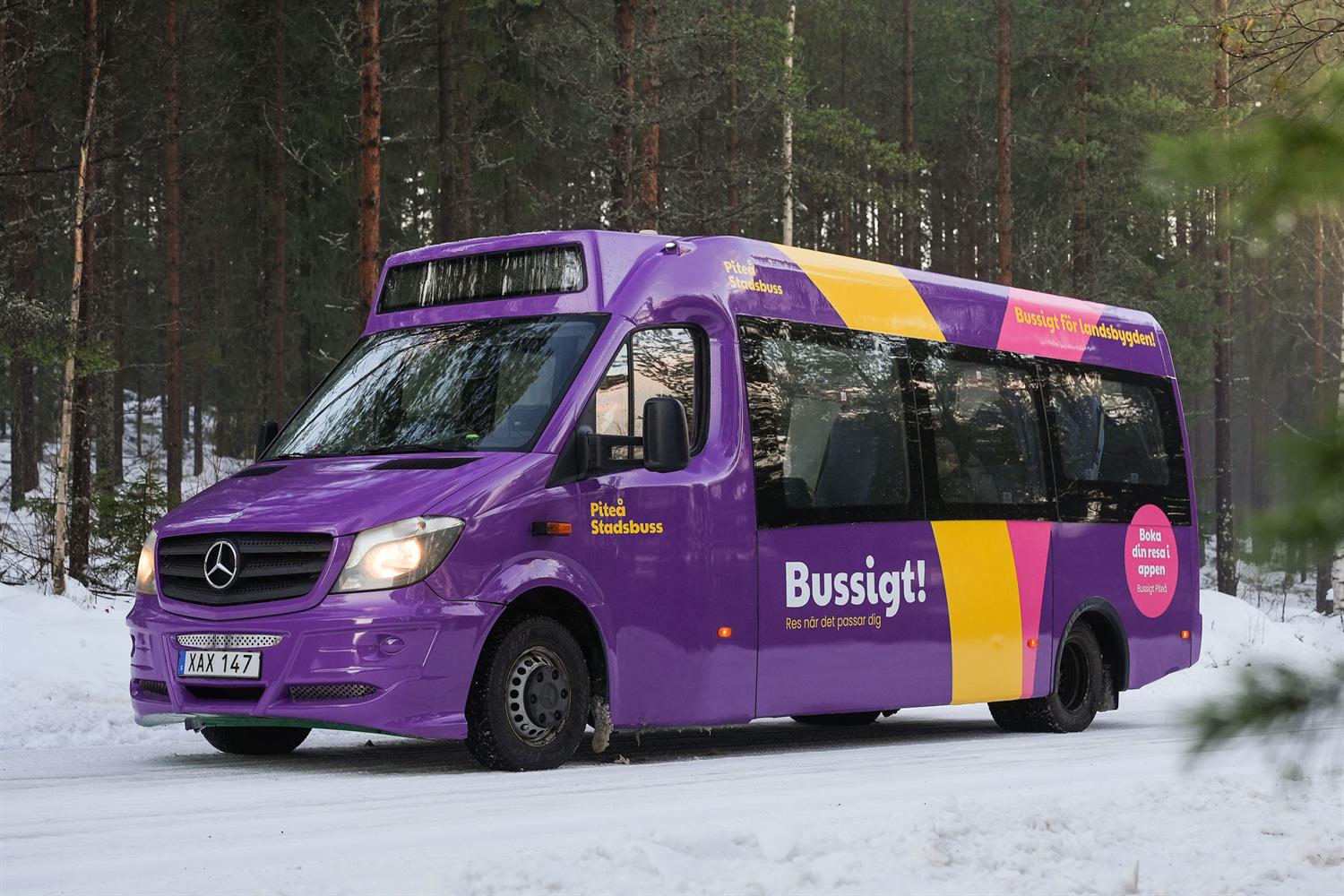 Bussen Bussigt