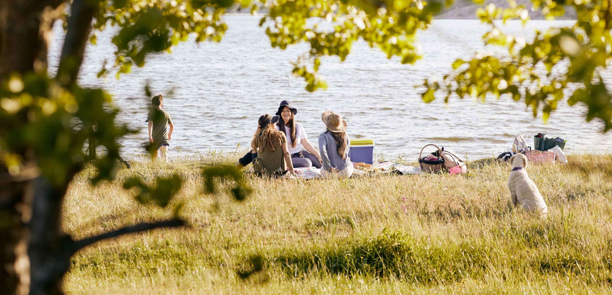 Ett gäng tjejer fikar på en äng vid stranden