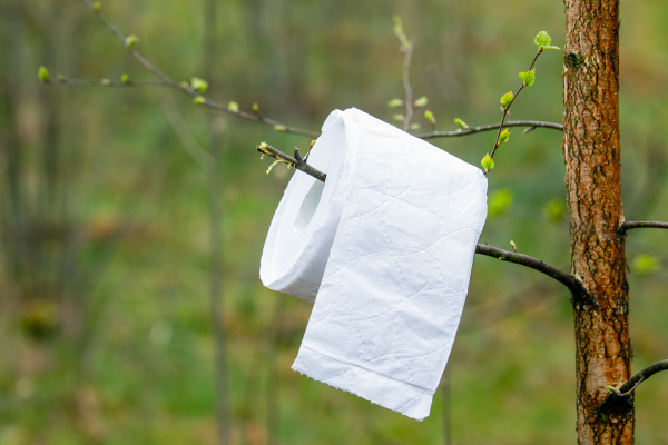 Toalettpapper hänger på en kvist i naturen.