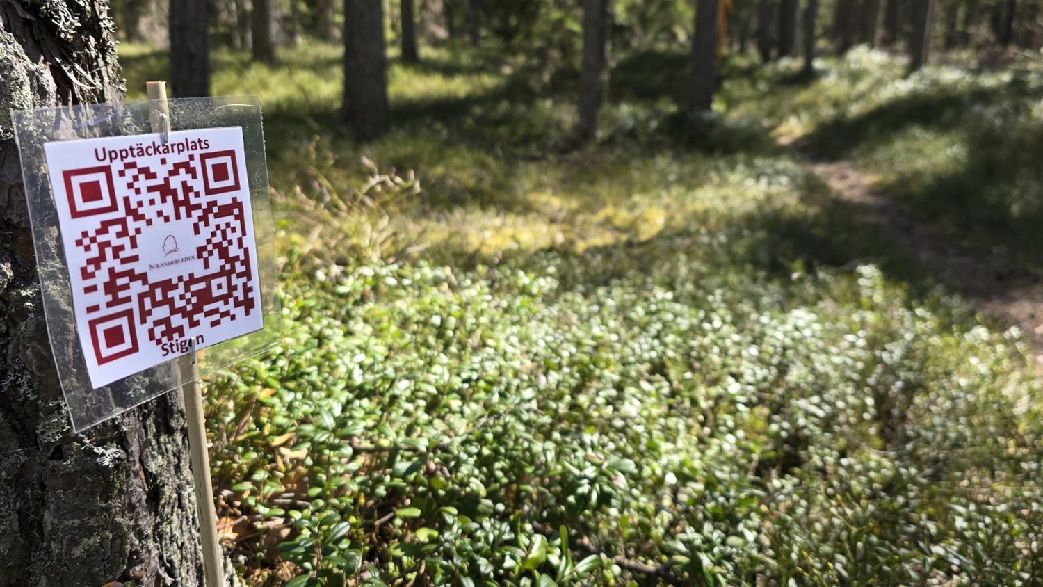 Upptäckarplats
