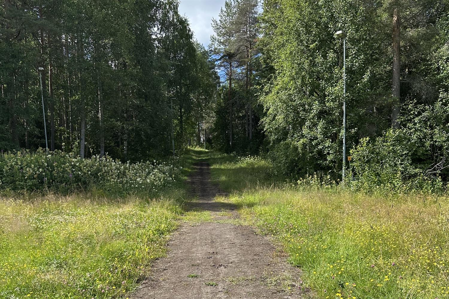 Sjulsmarks motionspår