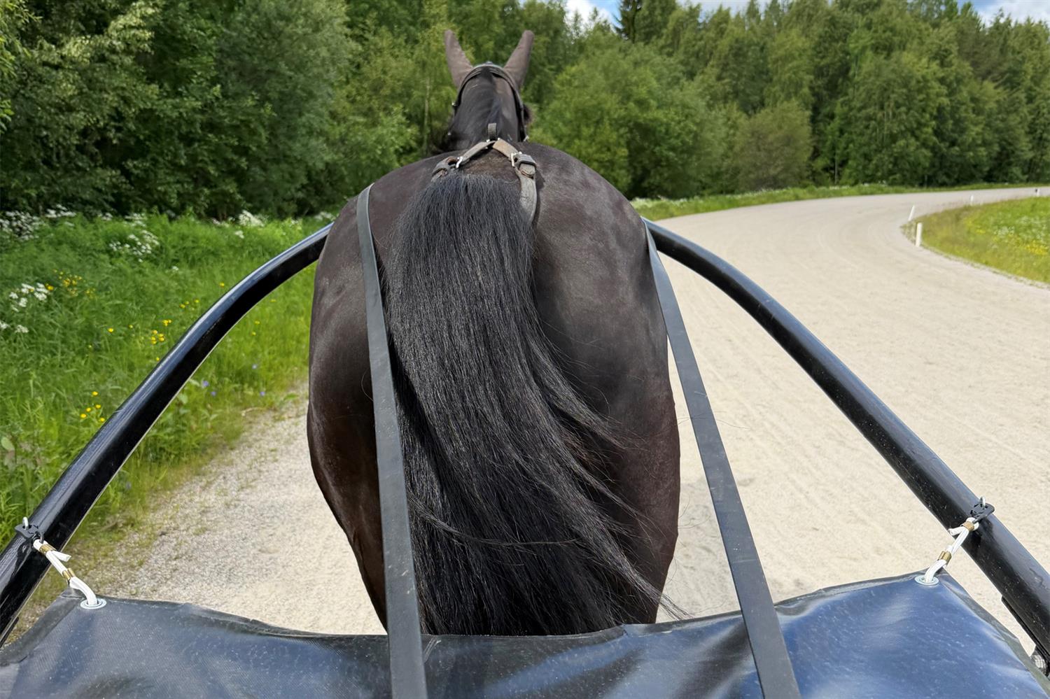 Pröva på att trava