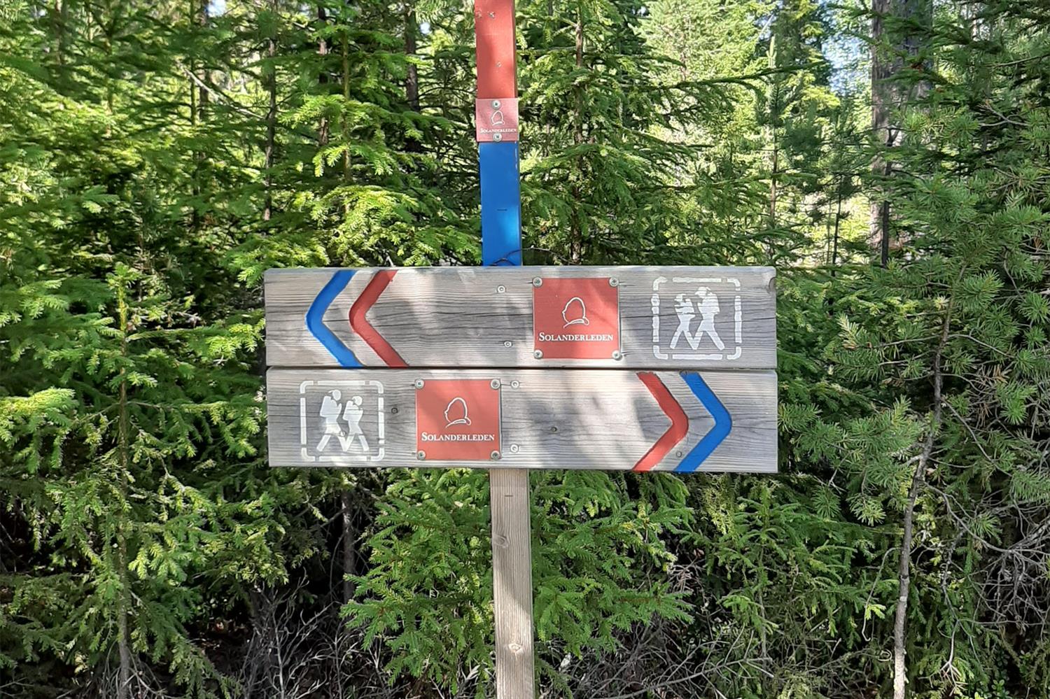 Solanderleden