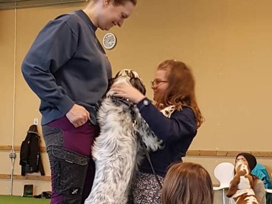 Hundskoj på jullovet