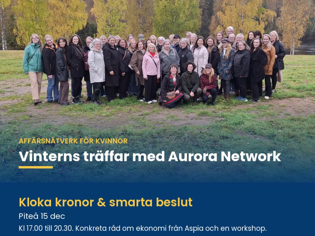 Aurora_Network_Pitea_