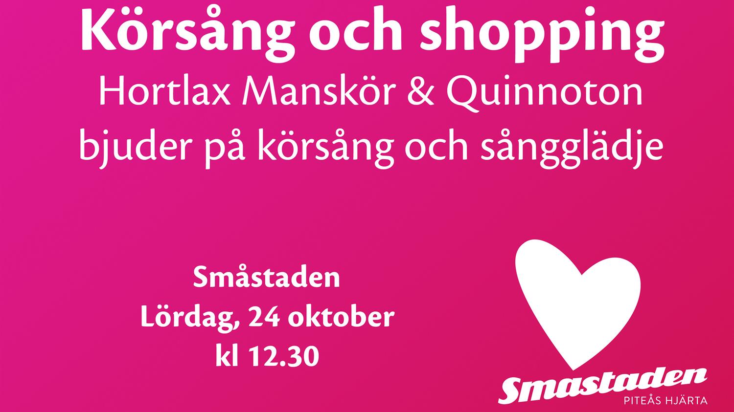 Körsång i Småstaden