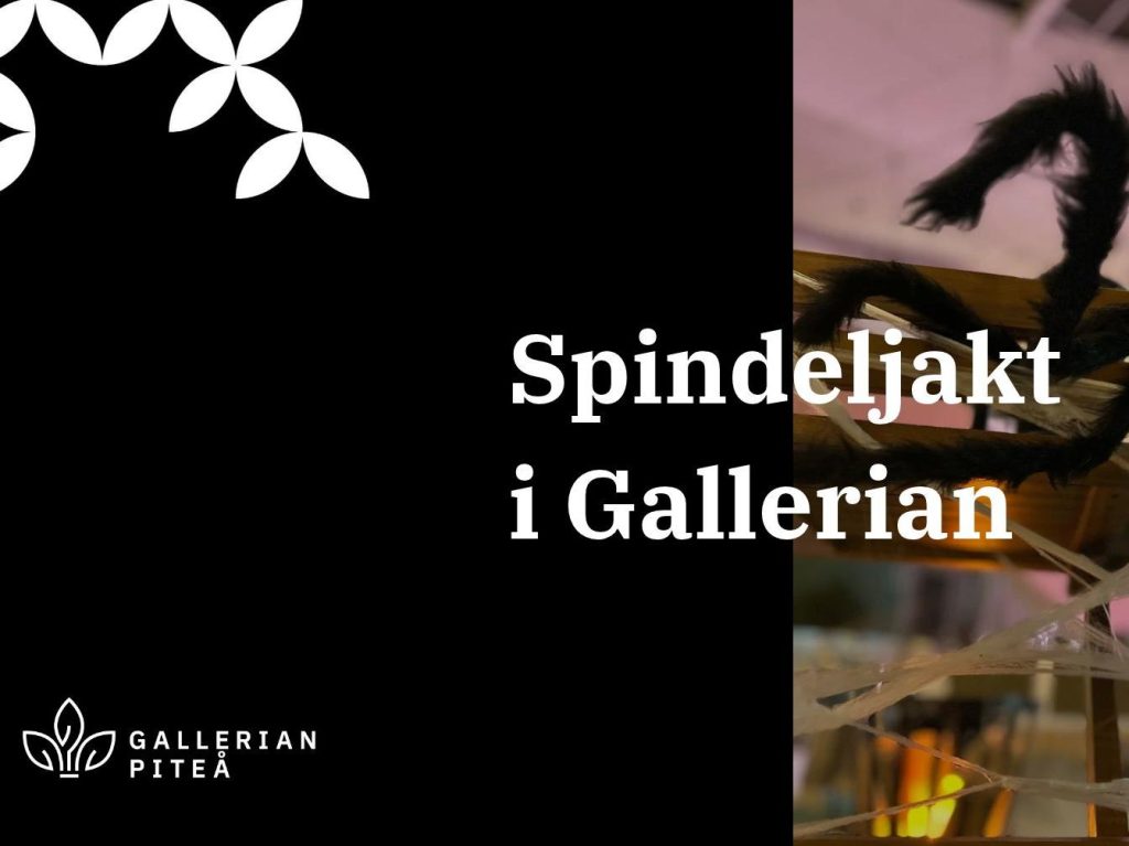 Spindeljakt i Gallerian